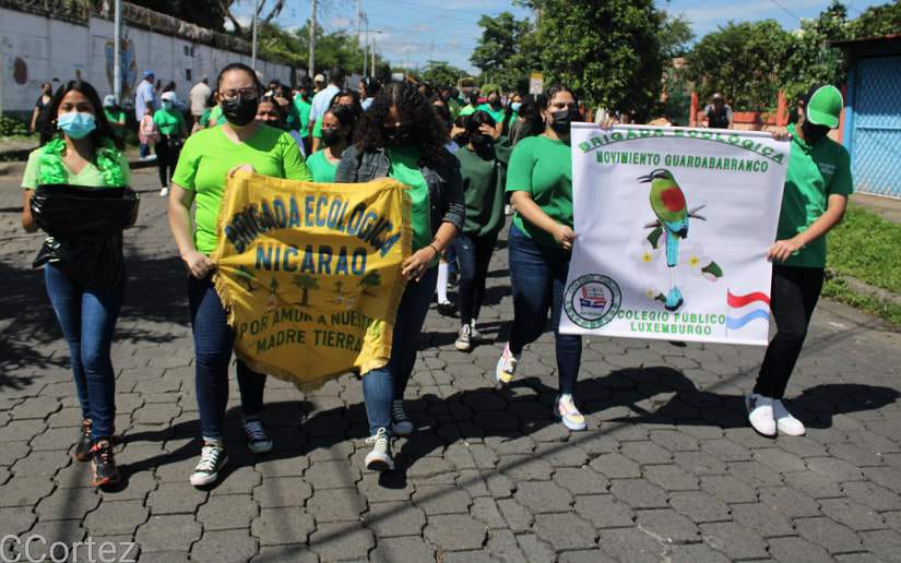 desfile